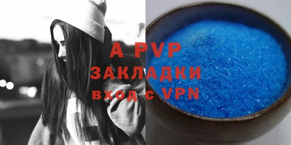 хмурый Нея