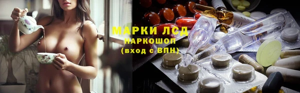 хмурый Нея