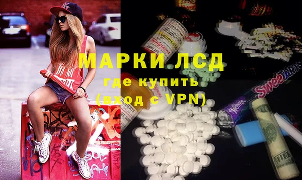 прущие грибы Новодвинск
