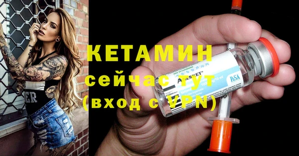 прущие грибы Новодвинск