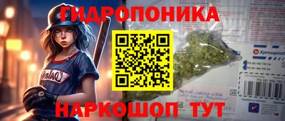 индика Балахна