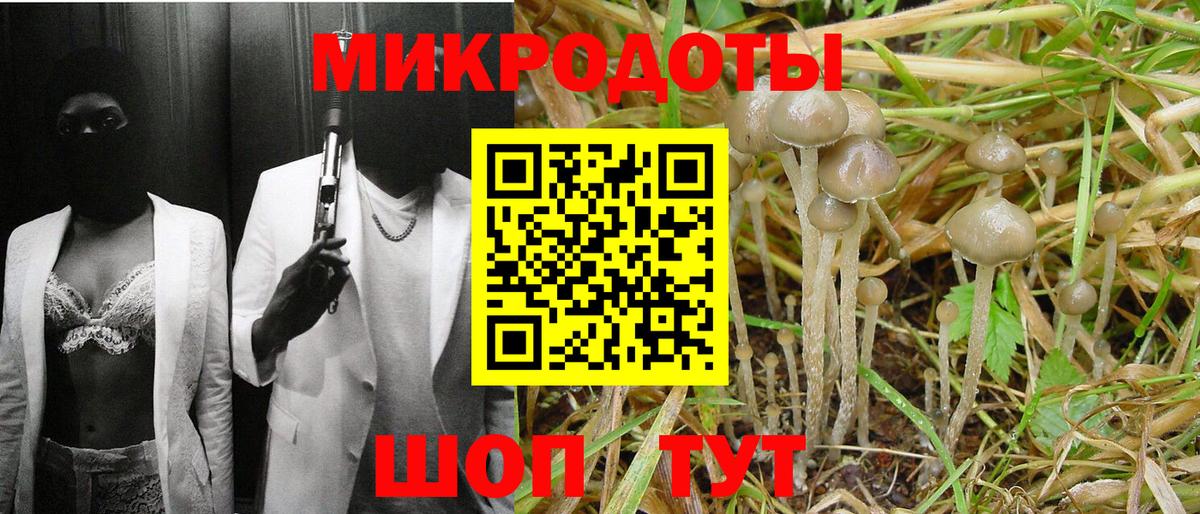Псилоцибиновые грибы Magic Shrooms  Вход с VPN  Новодвинск 